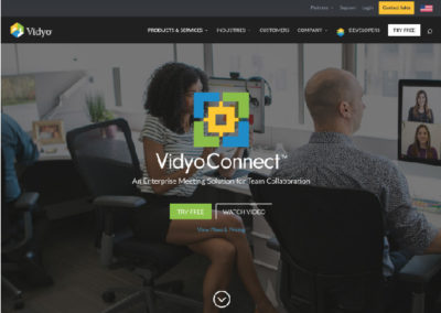 VidyoConnect